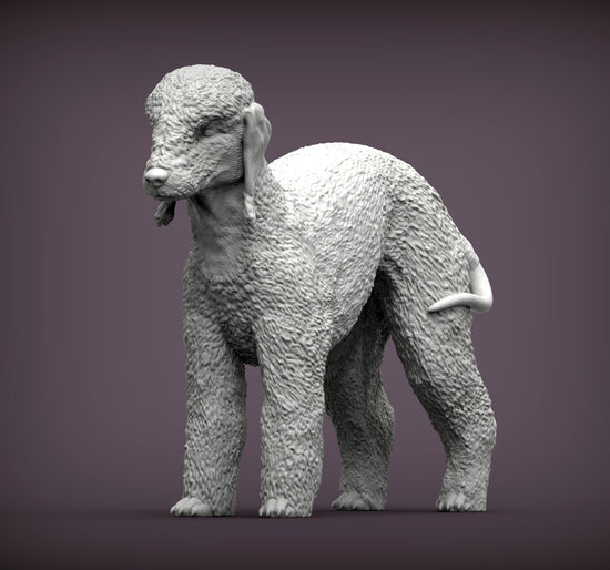 Bedlington Terrier Sculpture (Standing)
