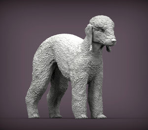Bedlington Terrier Sculpture (Standing)