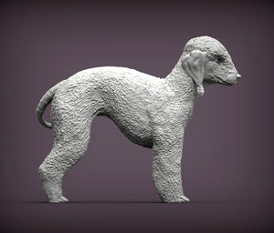 Bedlington Terrier Sculpture (Standing)