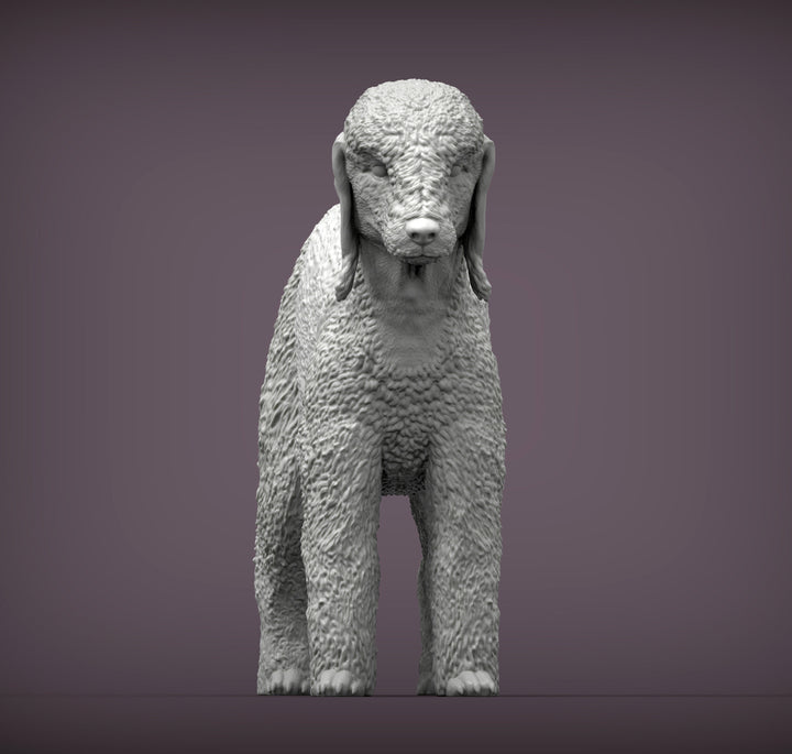 Bedlington Terrier Sculpture (Standing)