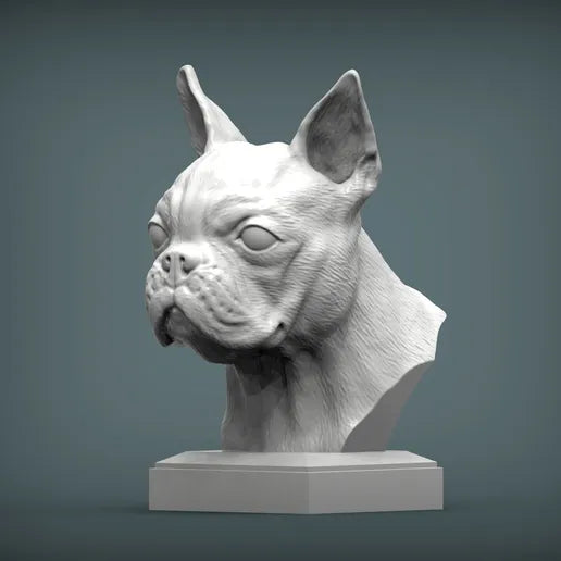 Boston Terrier Bust