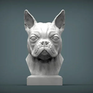 Boston Terrier Bust