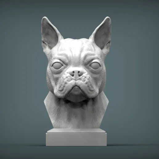 Boston Terrier Bust