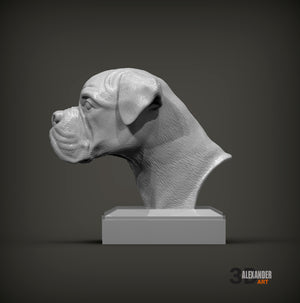 Boxer Bust
