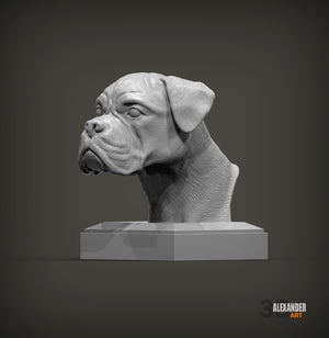 Boxer Bust