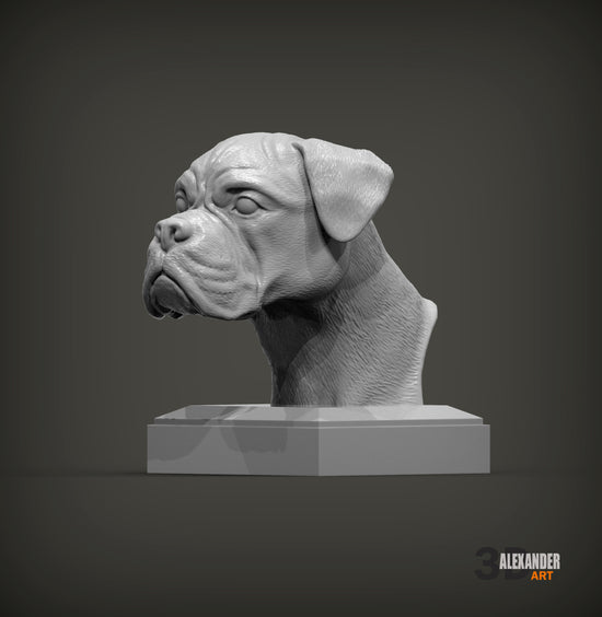 Boxer Bust
