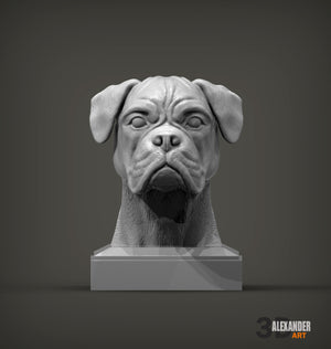 Boxer Bust
