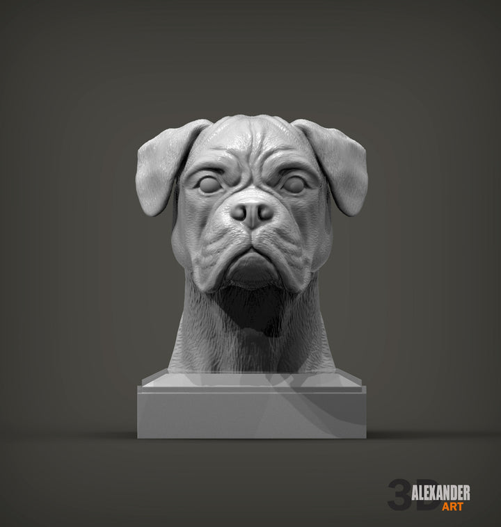 Boxer Bust