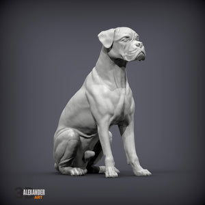 Boxer