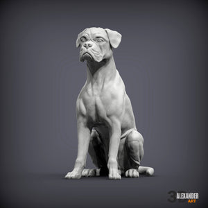 Boxer