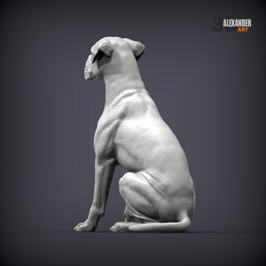 Boxer
