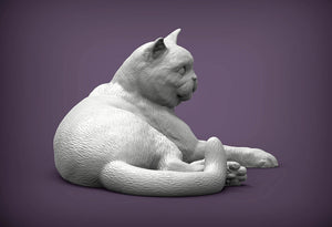 British Shorthair Cat Sculpture (Lying)