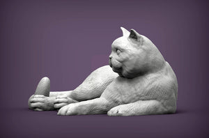 British Shorthair Cat Sculpture (Lying)