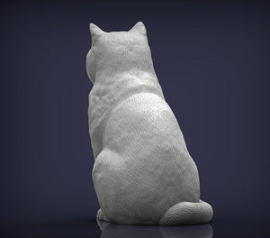 British Shorthair Cat Sculpture (Sitting)