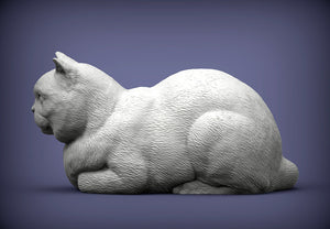 British Shorthair Cat Sculpture (Lying)