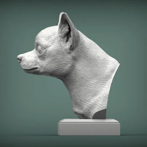 Chihuahua