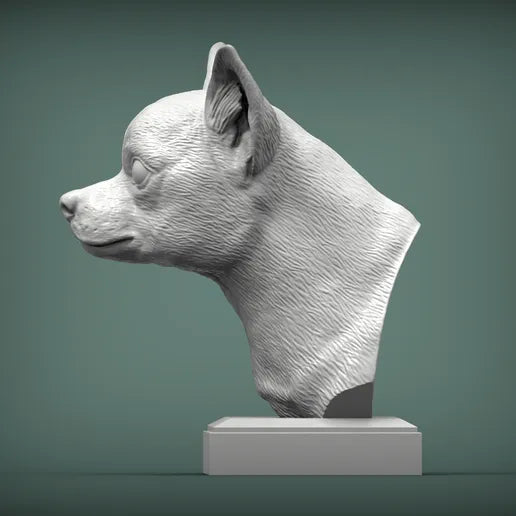 Chihuahua