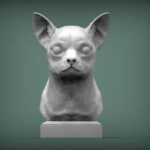Chihuahua