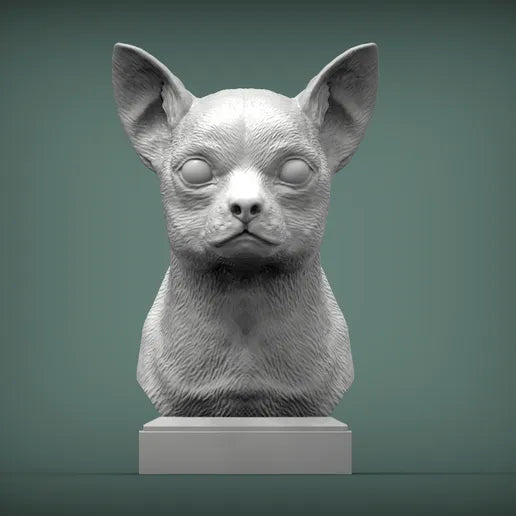 Chihuahua