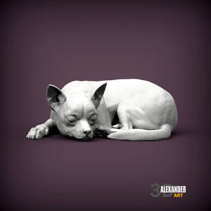 Chihuahua Sculpture (Sleeping)