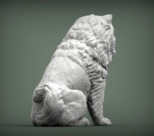 Chow Chow Sculpture (Sitting)