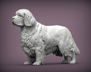 Clumber Spaniel Sculpture (Standing)