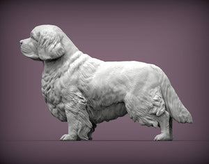 Clumber Spaniel Sculpture (Standing)