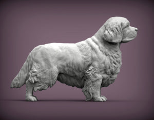 Clumber Spaniel Sculpture (Standing)