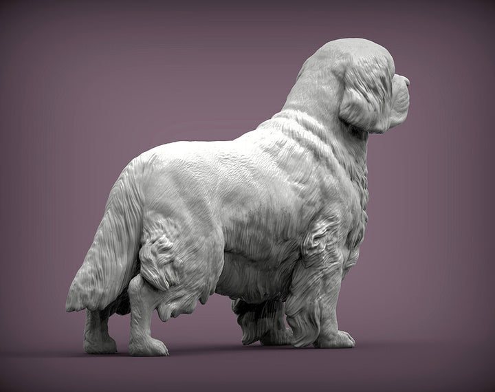 Clumber Spaniel Sculpture (Standing)