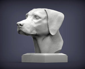 Dalmatian Bust