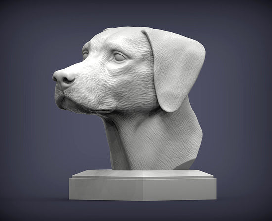 Dalmatian Bust