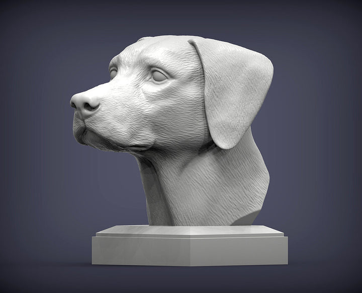 Dalmatian Bust