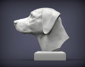 Dalmatian Bust