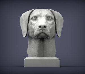 Dalmatian Bust