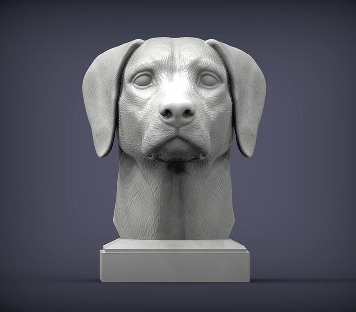 Dalmatian Bust