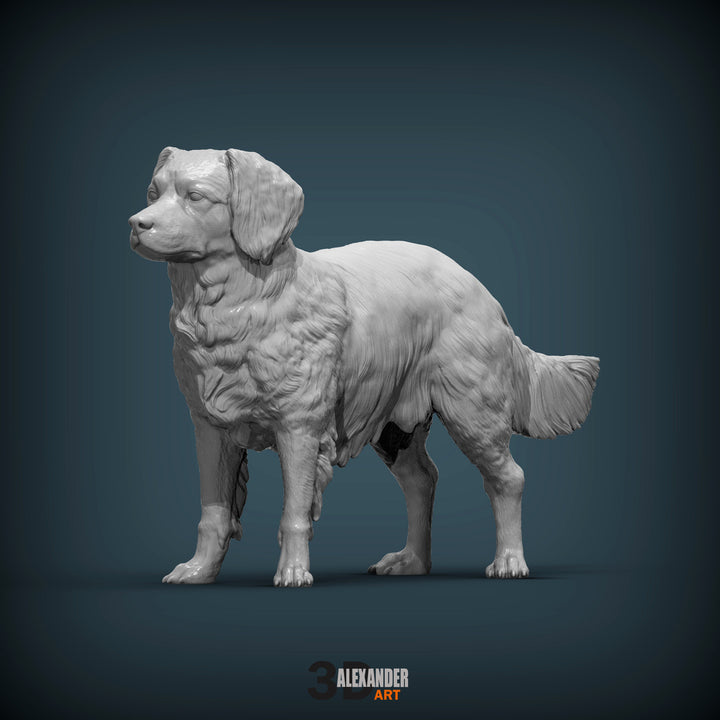 Dutch Kooikerhondje Sculpture