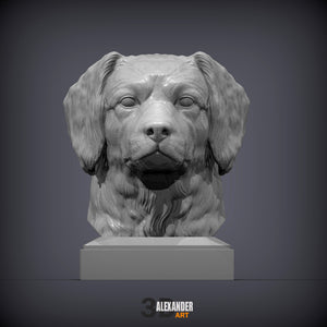Dutch Kooikerhondje Bust