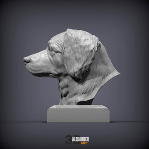 Dutch Kooikerhondje Bust