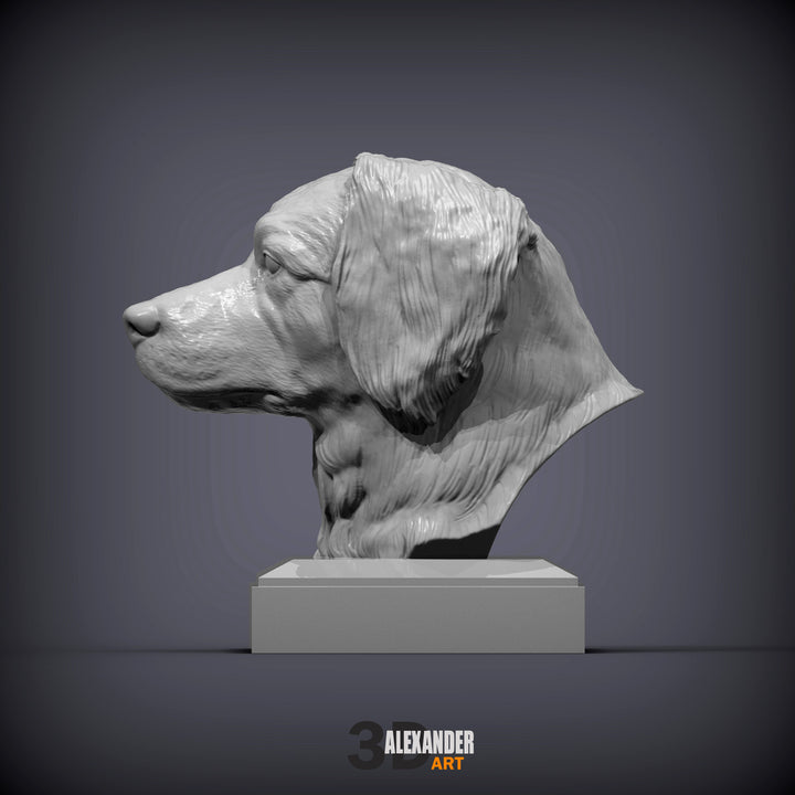 Dutch Kooikerhondje Bust