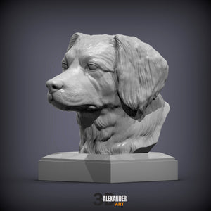 Dutch Kooikerhondje Bust
