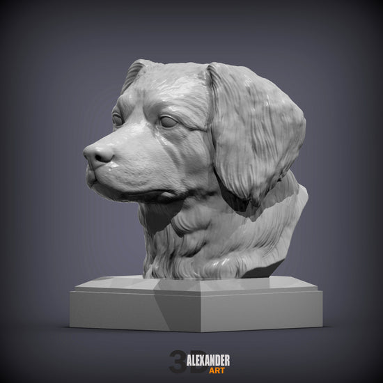 Dutch Kooikerhondje Bust