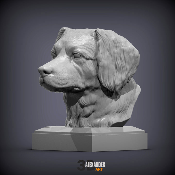 Dutch Kooikerhondje Bust