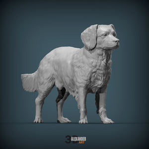 Dutch Kooikerhondje Sculpture