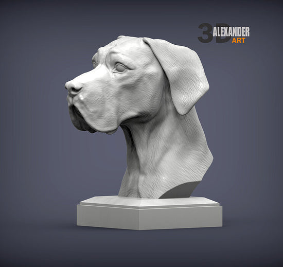 Great Dane Bust
