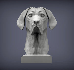 Great Dane Bust