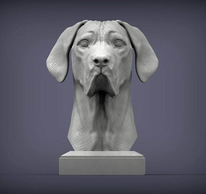Great Dane Bust