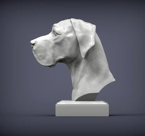 Great Dane Bust