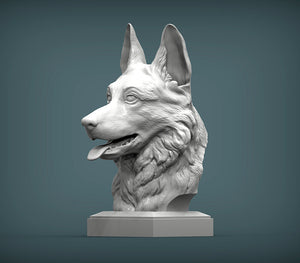 German Shepherd Bust