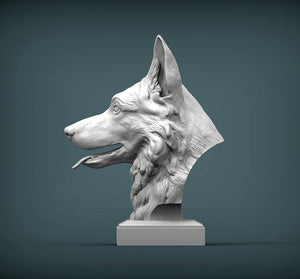 German Shepherd Bust