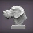 German Wirehaired Pointer Bust